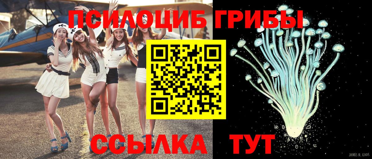 Галлюциногенные грибы прущие грибы Октябрьский